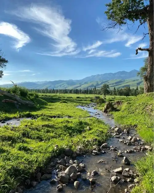 在夏天一起去伊犁看大草原吧