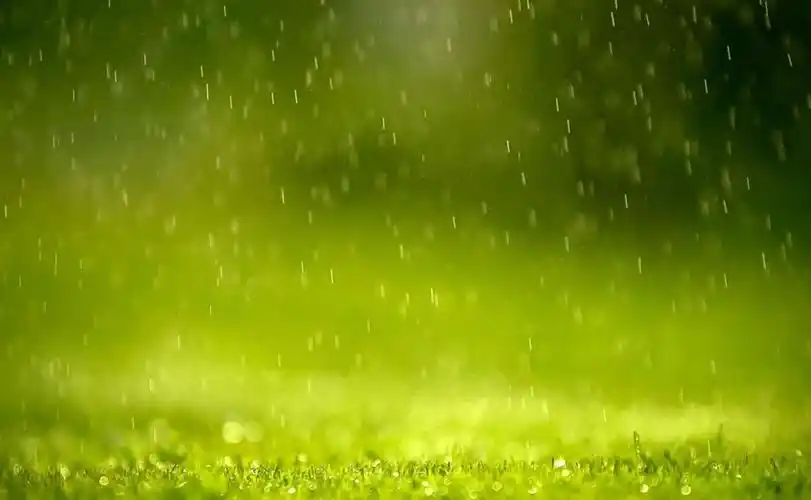 春雨润物细无声