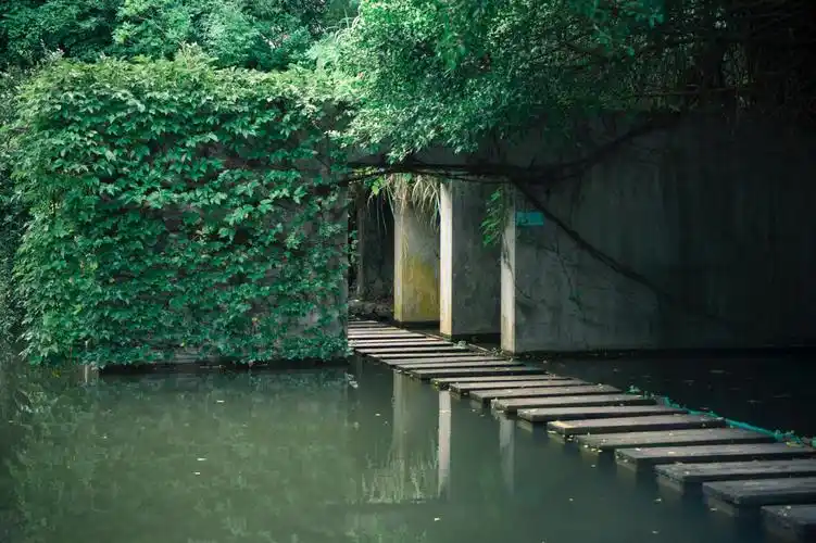 燕晗山郊野公园