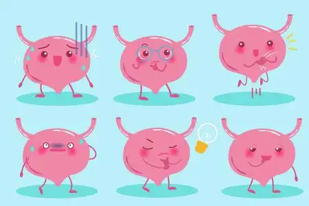 可爱的卡通膀胱照片