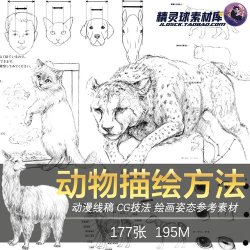 动物的画法 动漫动态线稿手绘速写临摹结构造型 描绘方法参考素材