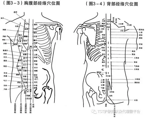 养背就是养命!女人保养背部很重要