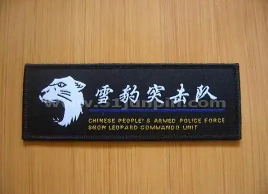 揭开中国"雪豹突击队"神秘面纱(图)