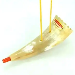 供应中大号天然牦牛角号角 jzp413能吹响的牛角喇叭