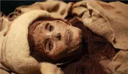 千年不腐烂的女尸(干尸湿尸鞣尸) - 看百科