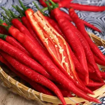 贵州红线椒新鲜二荆条现货红辣椒农家自种4斤