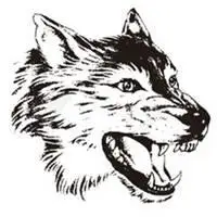 狼的照片头像_微信头像图片大全