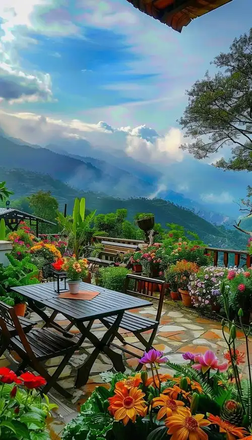 唯美手机壁纸中的生活哲理:珍惜当下,拥抱未来