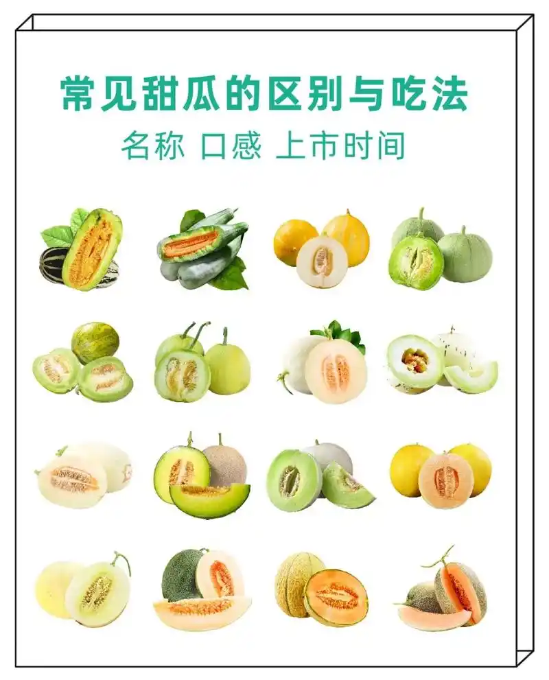 常见甜瓜的区别.#图文伙伴计划 #抖音图文来了 #水果 #春 - 抖音