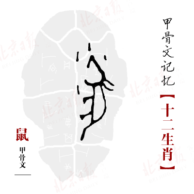 今年,是甲骨文发现120周年,眼下,国家图书馆国家典籍博物馆年度大展