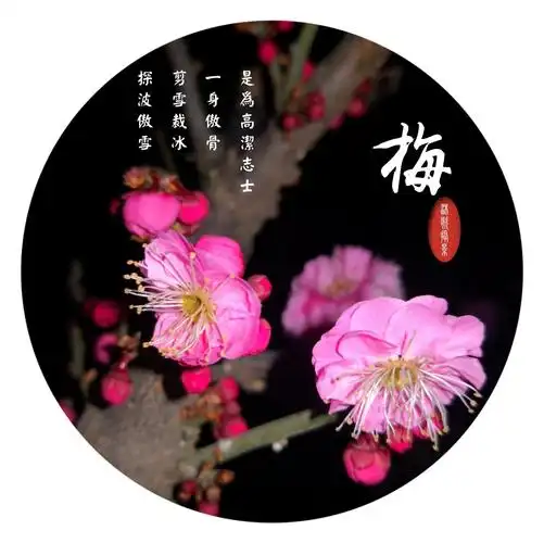 梅,兰,竹,菊