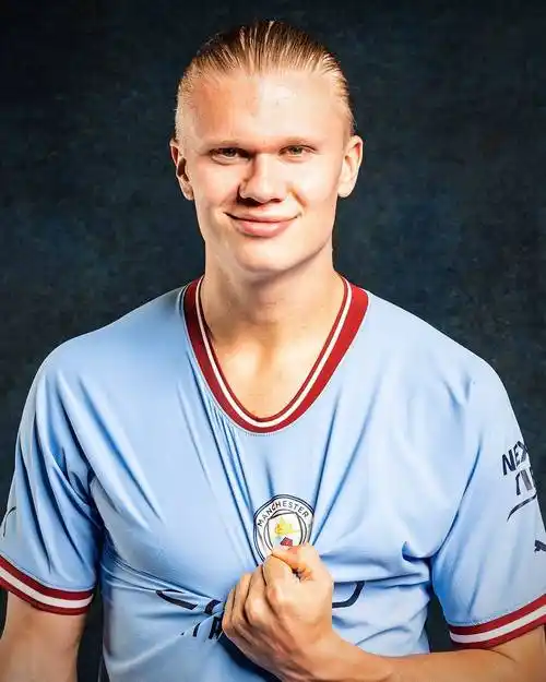 新一期哈兰德图集