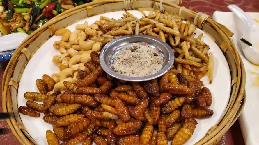 贵州这些看似臭,丑,怪的奇特美食,绝了!