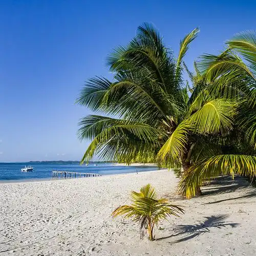 棕榈海滩_全景网