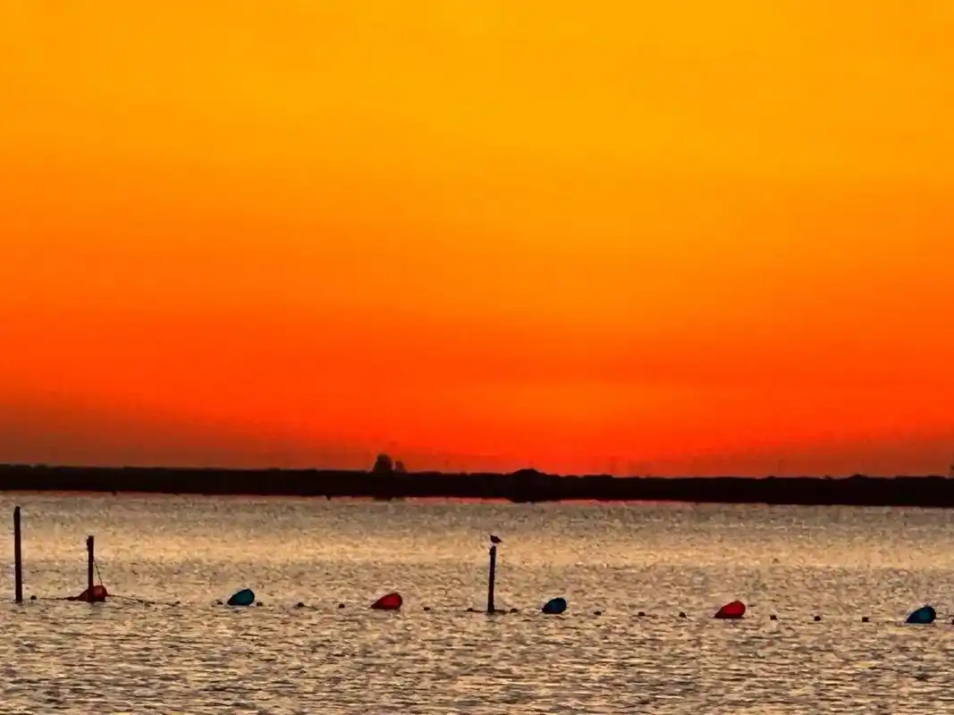 东方红太阳升!伟大的十月一!#海边日出 #日出东方 - 抖音