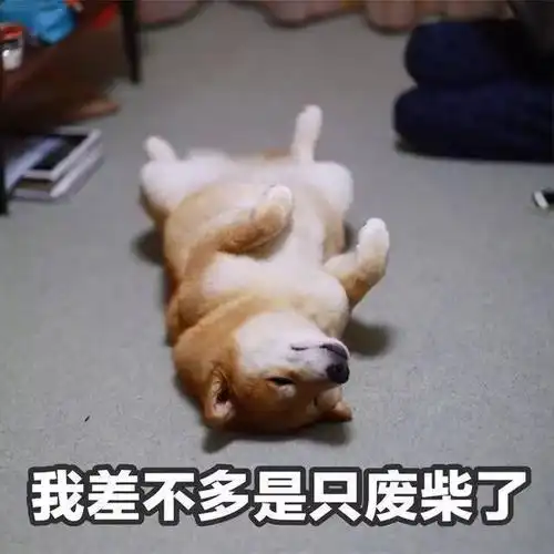 累成狗",很巧的是,英语中也有类似的表达,会用dog-tired来形容筋疲力