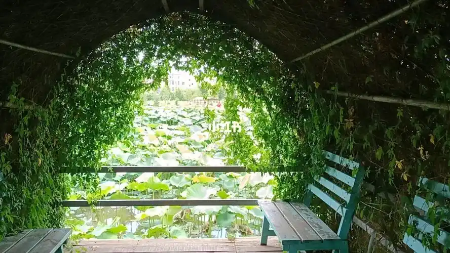 澄江悦莲庄园一切美好遇见