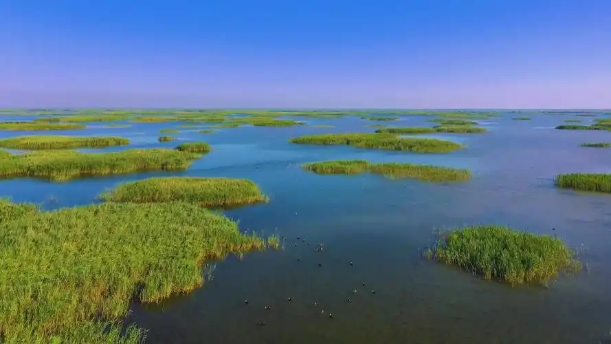 东营黄河口国家公园进入创建实施阶段
