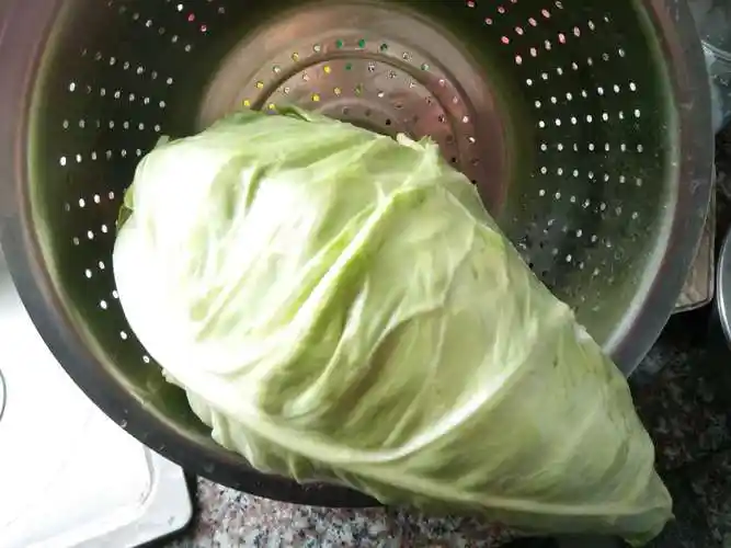 百度爱采购首页 商品专题_辣椒一,牛角包菜的选购和清洗 牛角包菜具有