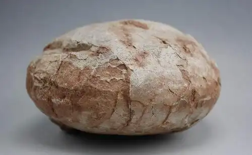 恐龙蛋对养蛋鸡的启示