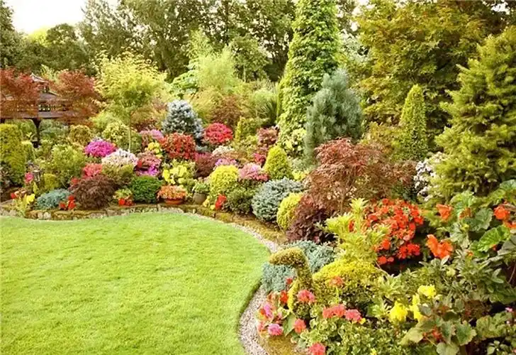 花境营造植物色彩搭配要点