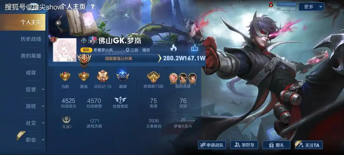 王者荣耀职业选手的个人主页用的是什么皮肤看到刺痛的我酸了