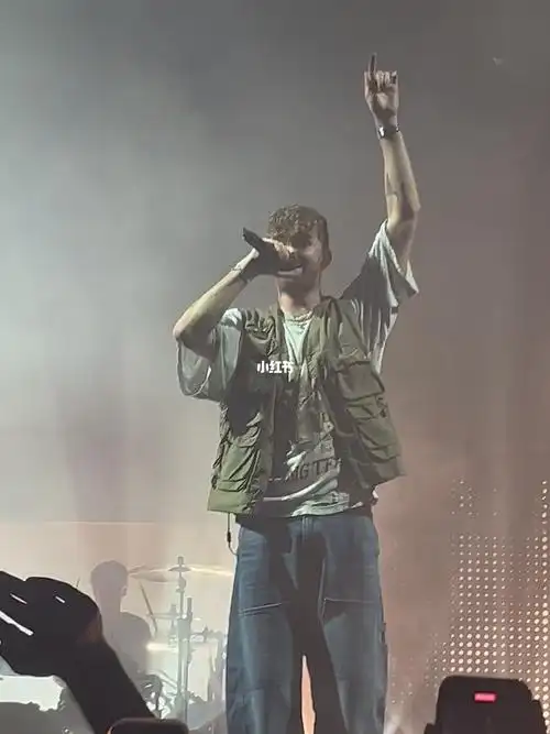 this feelings all we know #演唱会  #烟鬼组合  #thechainsmokers