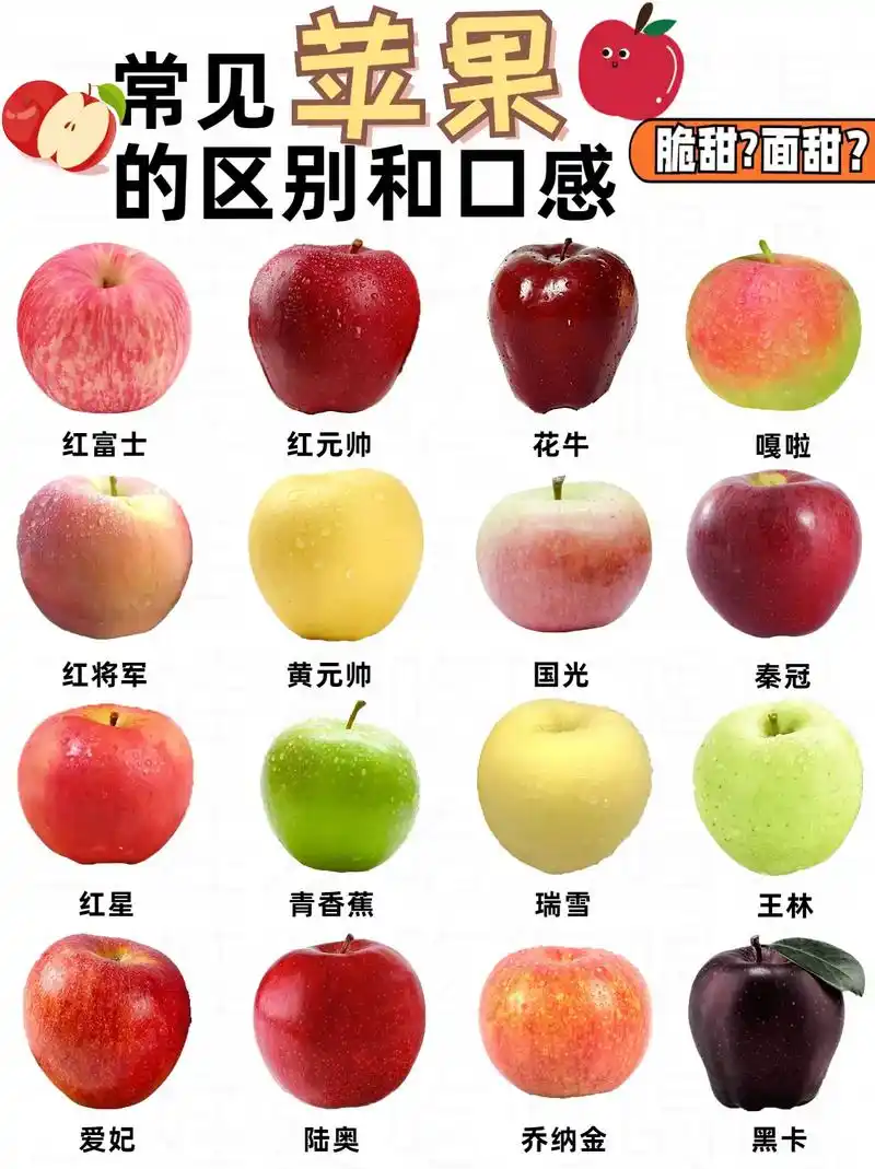 平安夜96安排起来75常见16种苹果区别.