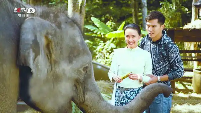 让我听懂你的语言开播邱泽剧中保护生态文明爱上傣族文化