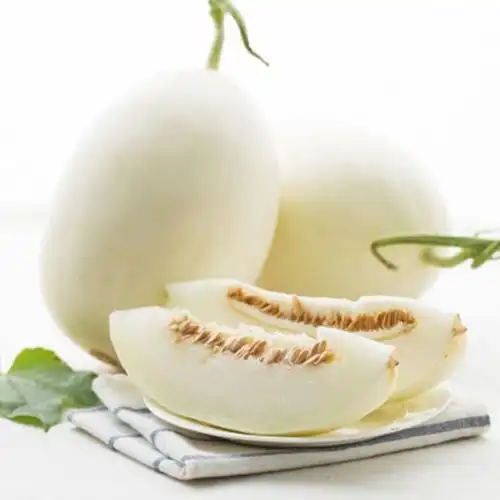 瓜中"白富美"——白金蜜瓜