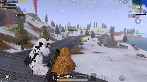 刺激战场xx/ss国际服破解版