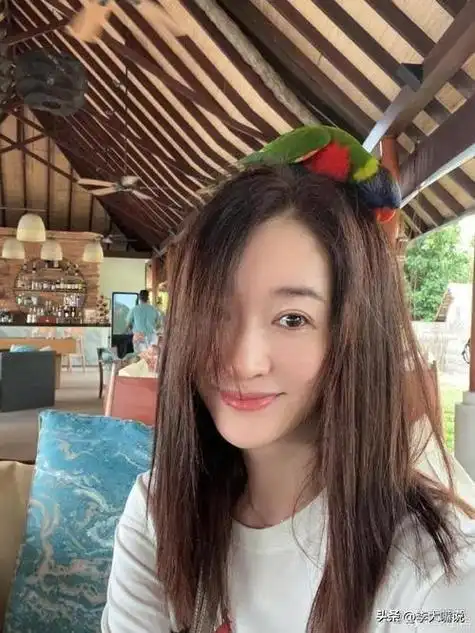 47的人间尤物李小冉感情经历挫折后最终收获爱情