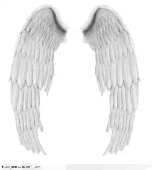 白色展开的翅膀psd