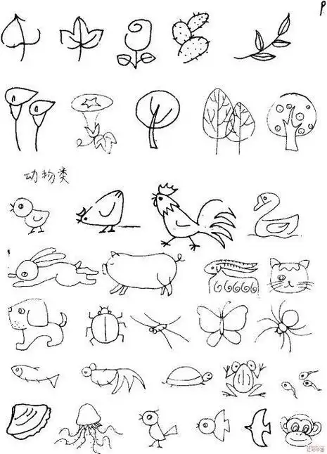 动物与植物相结合的简笔画