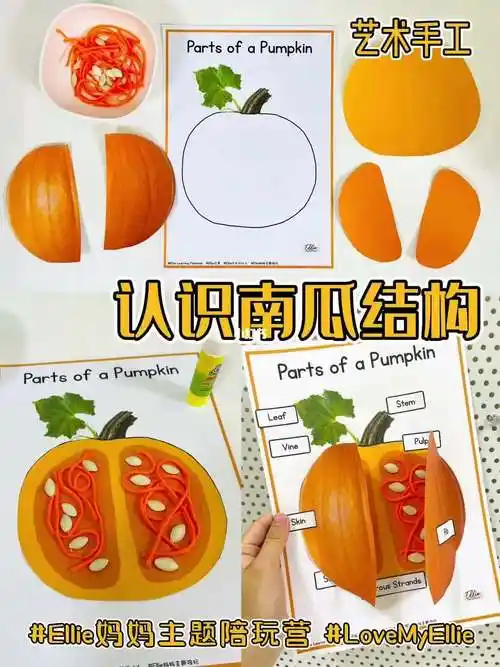 南瓜主题陪玩南瓜结构之艺术手工