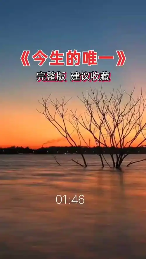 抖音热歌百听不厌完整版今生的唯一可可音乐