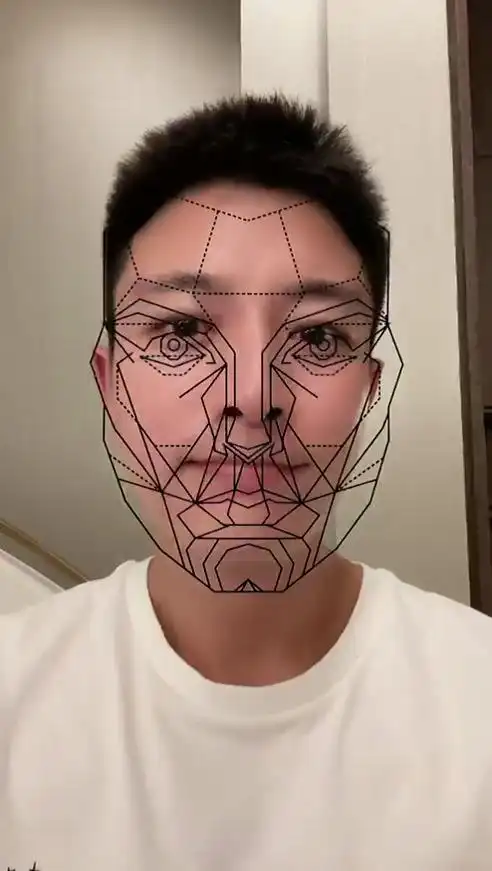 并因此配词:"算了吧,就是我不足有志气……"还使用了黄金比例脸的动画