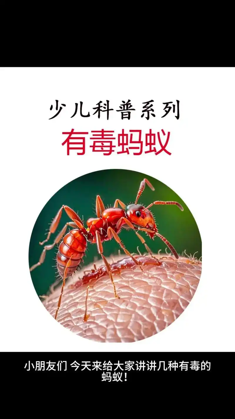 这些有毒蚂蚁个你一定要知道.