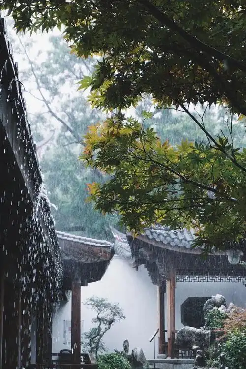 福州| 来福州,赶一场春雨|雨中|看雨|雨声|雨景_网易订阅