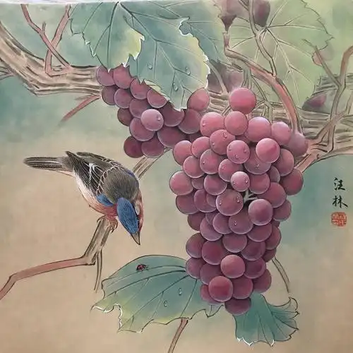 汪林工笔画葡萄