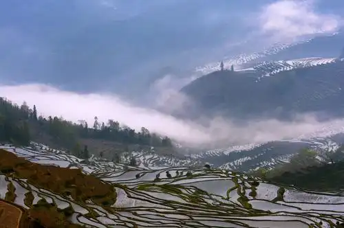 云南元阳红河哈尼梯田