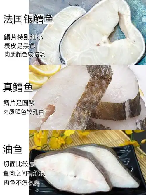 油鱼和鳕鱼的区别
