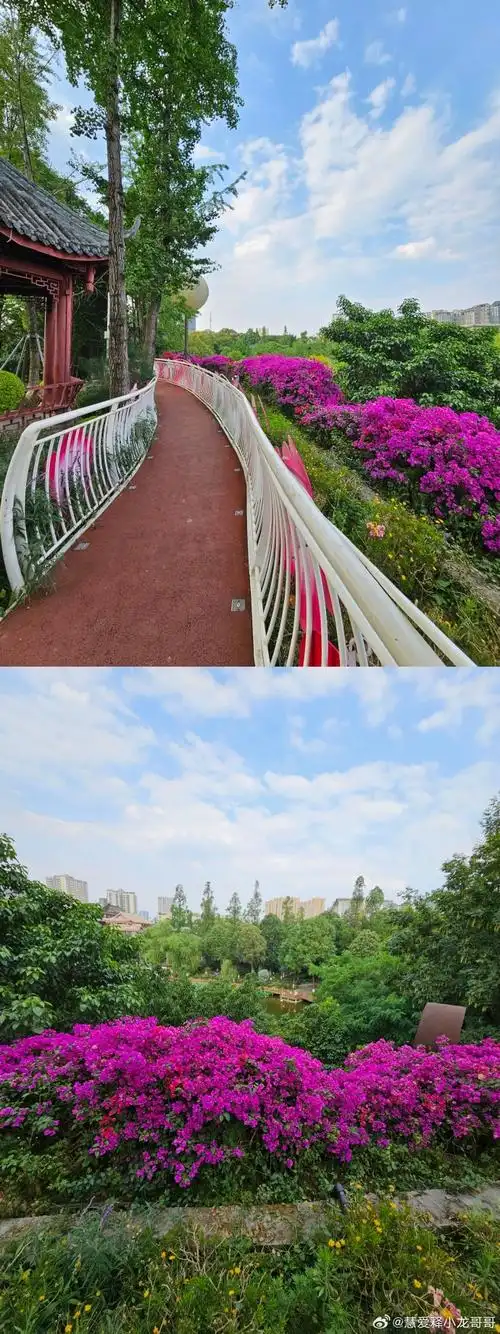 市巡游记#  【刘小慧成都公园打卡95五月下旬成都文化公园的第一波