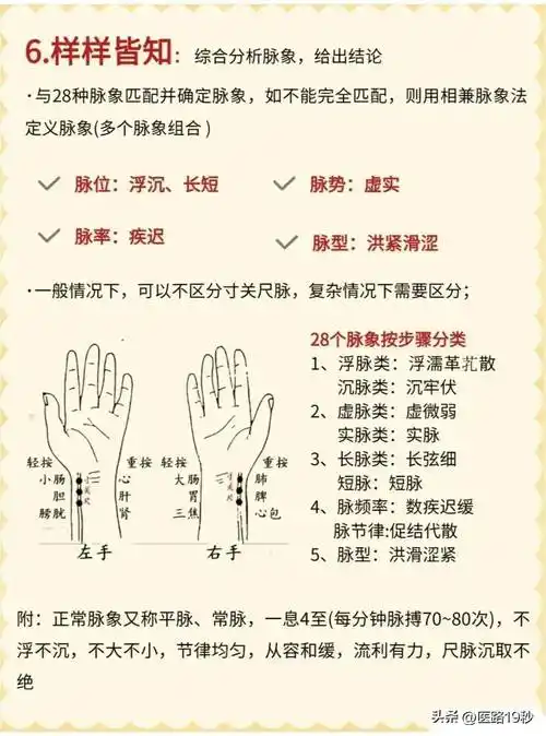 中医脉诊6步骤,快速学起!