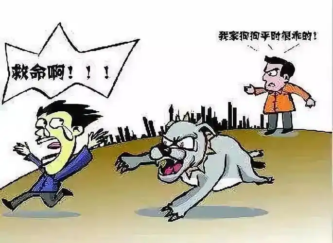 北京养狗咬伤人耍无赖跑路男子酒店开房时被抓回