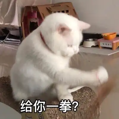 猫表情包 喵喵桑 给你一拳