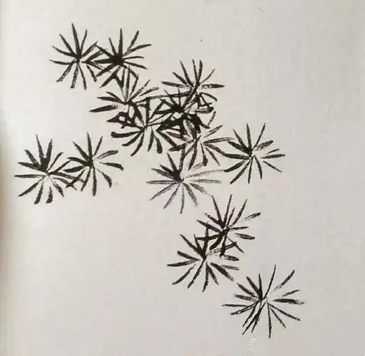 国画松树的入门画法