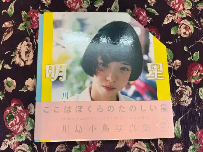 书单摄影集川岛小鸟明星