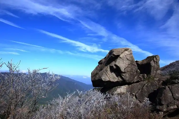 白马山国家森林公园