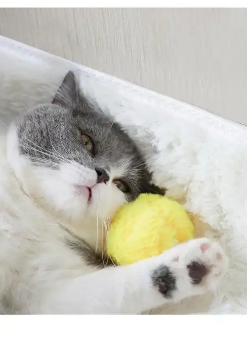 猫玩具发声叫叫球猫薄荷逗猫球小鸟叫声磨牙耐咬自嗨神器宠物用品